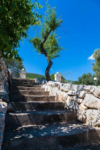 Agroturismo B&B Pozzo Di Luce