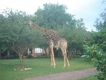 Le Roux Lodge