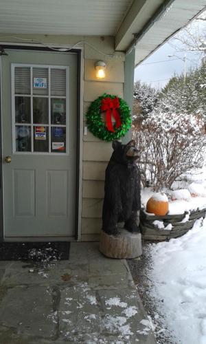 Motel Black Bear Lodge