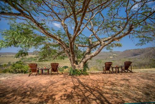 Hostal Abangane Guest Lodge
