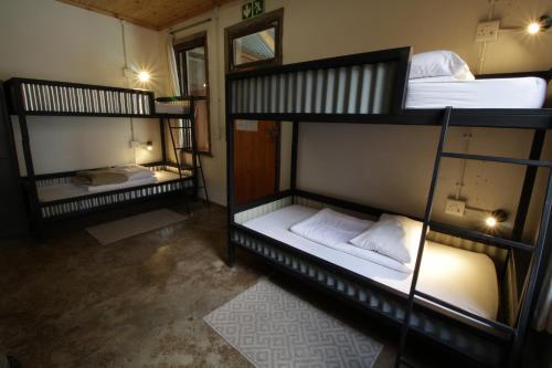 Albergue Curiocity Backpackers