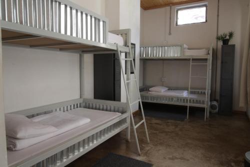 Albergue Curiocity Backpackers