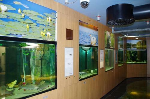 Hostal Vehendi Guest House