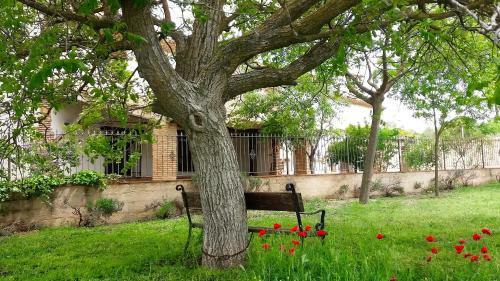 Agroturismo Casa Del Rio