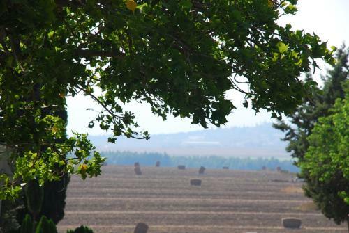 Kibbutz Mizra Country Lodging
