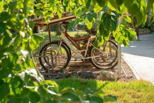 Kibbutz Mizra Country Lodging