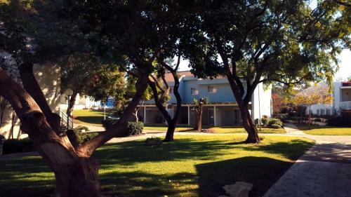 Kibbutz Mizra Country Lodging