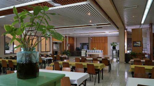 Kibbutz Mizra Country Lodging