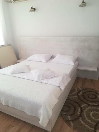 Hostal Pensiunea Lotus