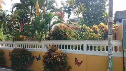 Hostal Villa Butterfly