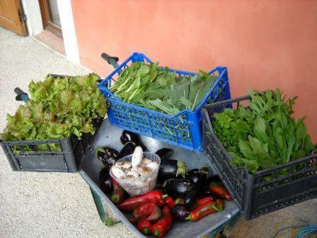 Hostal Godere Agricolo