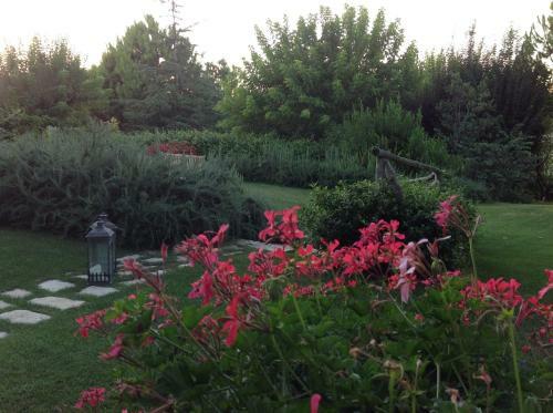 Bed & Breakfast Monterosato Country House