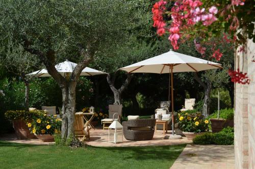 Bed & Breakfast Monterosato Country House