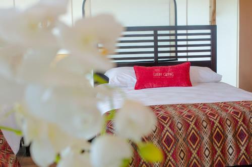 Hotel Luxury Camping Panama
