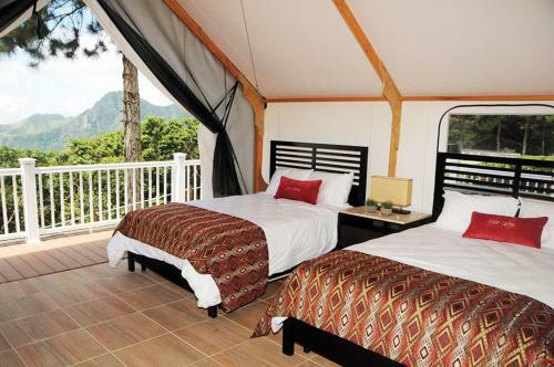 Hotel Luxury Camping Panama