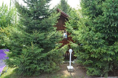 Camping Robinson Country Club Oradea