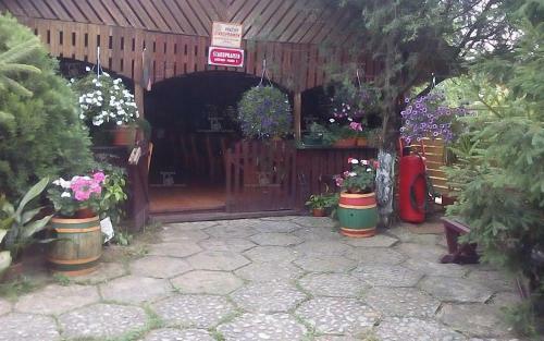 Camping Robinson Country Club Oradea