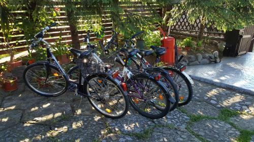 Camping Robinson Country Club Oradea