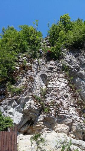 Hostal Pensiunea Apuseni Wild