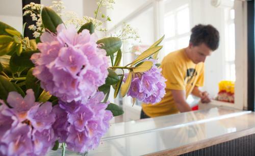 Albergue Ronneby Brunnspark Vandrarhem Och B&B