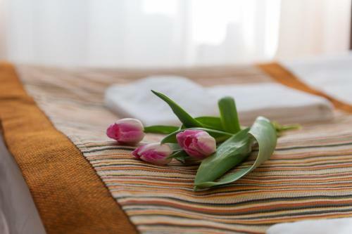 Zamok Hotel Sochi