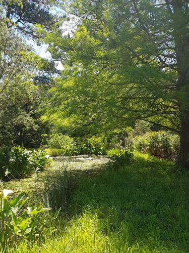 Bed & Breakfast Wildekrans Country House