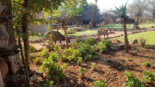 Aha Makalali Private Game Lodge
