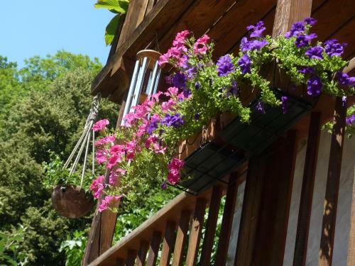 Apartamento Ferien-appartement Im Naturpark