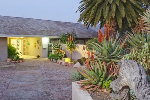 Hostal Aloe Manor