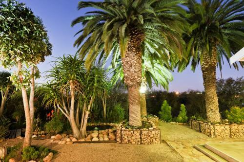 Hostal Aloe Manor