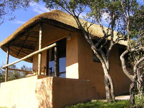 Bed & Breakfast Mpotshane Safaris