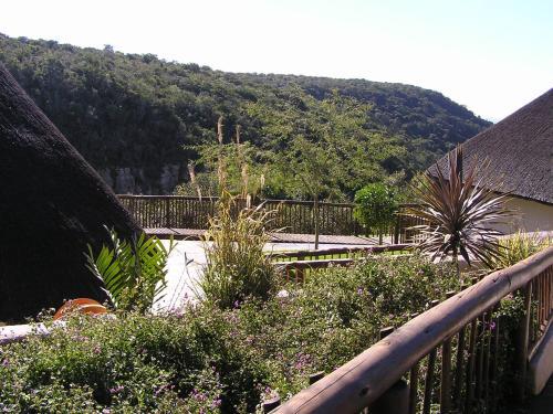 Bed & Breakfast Mpotshane Safaris