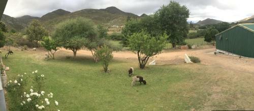 Hotel Bo Kouga Mountain Retreat