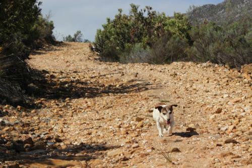 Hotel Bo Kouga Mountain Retreat