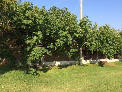 Agroturismo Tenuta Annibale