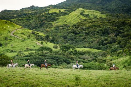 Hotel Borinquen Mountain Resort & Spa
