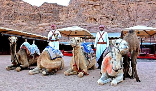 Sun City Camp