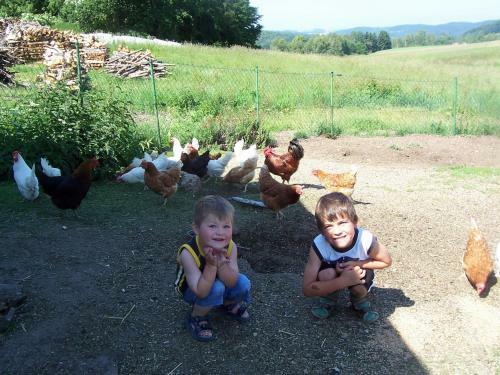 Agroturismo Wagner Bauernhof