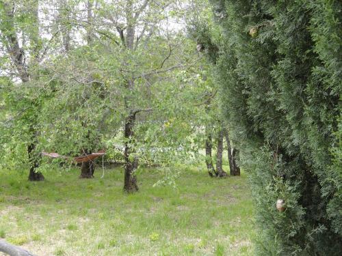 Agroturismo Borgo Petraio