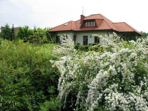 Hostal Pensjonacik Ogrody