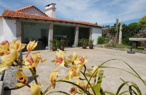 Casa Da Avo Ana