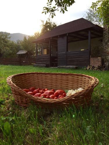 Hostal Pensiunea Sandra