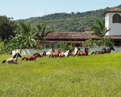 Hostal Rancho Chilamate Horse Ranch