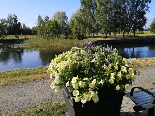 Albergue Pite� Vandrarhem