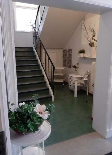 Albergue Pite� Vandrarhem