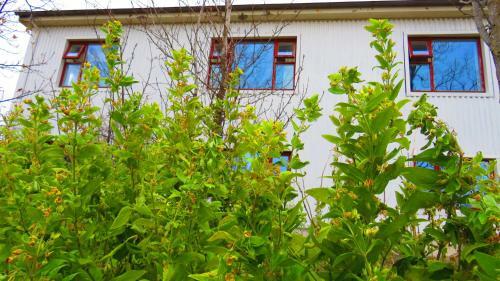 K�lfafellsstadur Bed & Breakfast