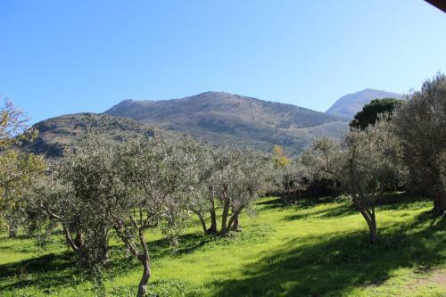 Agroturismo Casale Orioles - Casa Vacanze