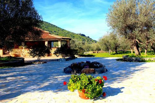 Agroturismo Casale Orioles - Casa Vacanze