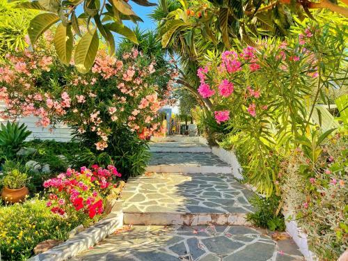 Casa Rico Frade Garden