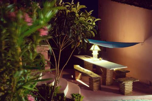 Casa Rico Frade Garden